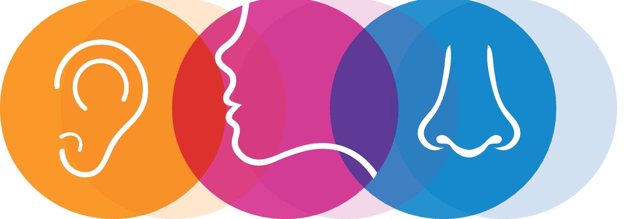 Oto Rhino Laryngologie Orl Hopitaux Robert Schuman