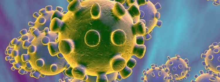 L’attribut alt de cette image est vide, son nom de fichier est coronavirus-image-750x280.jpg.